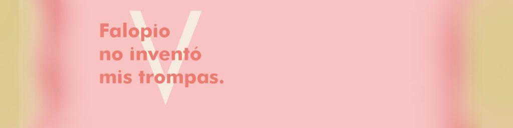 Trompas de falopio