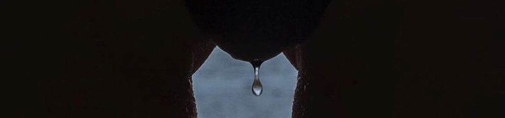 Síntomas vulvares o vaginales