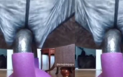 Suelo pélvico