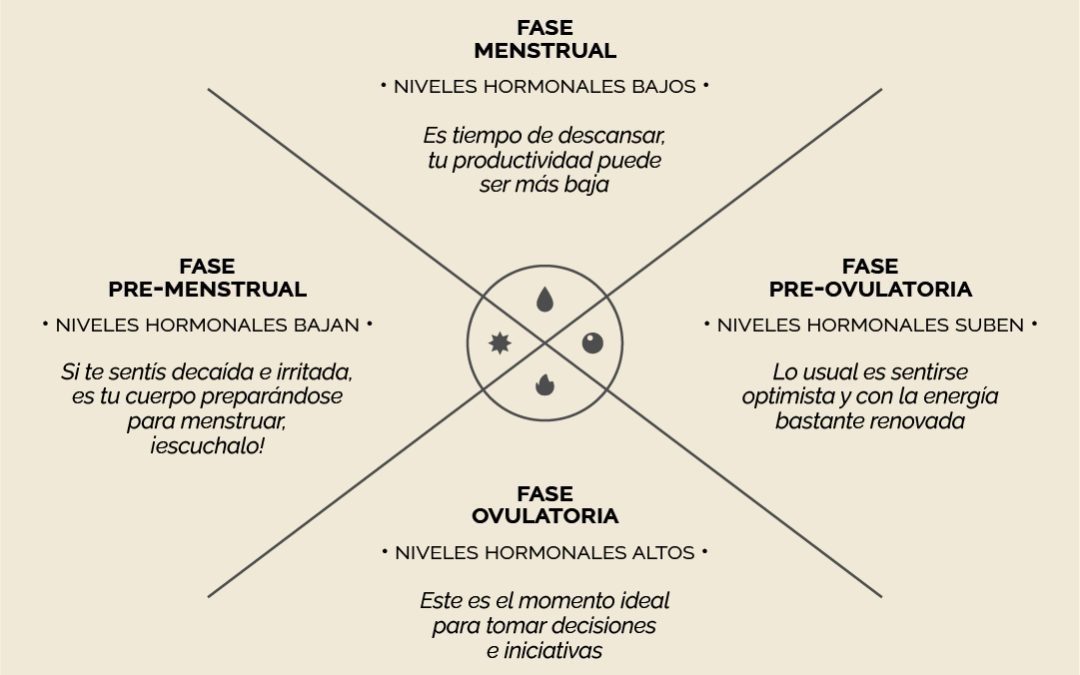 FASES Y ENERGÍA DURANTE EL CICLO MENSTRUAL
