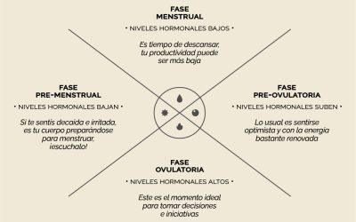 FASES Y ENERGÍA DURANTE EL CICLO MENSTRUAL