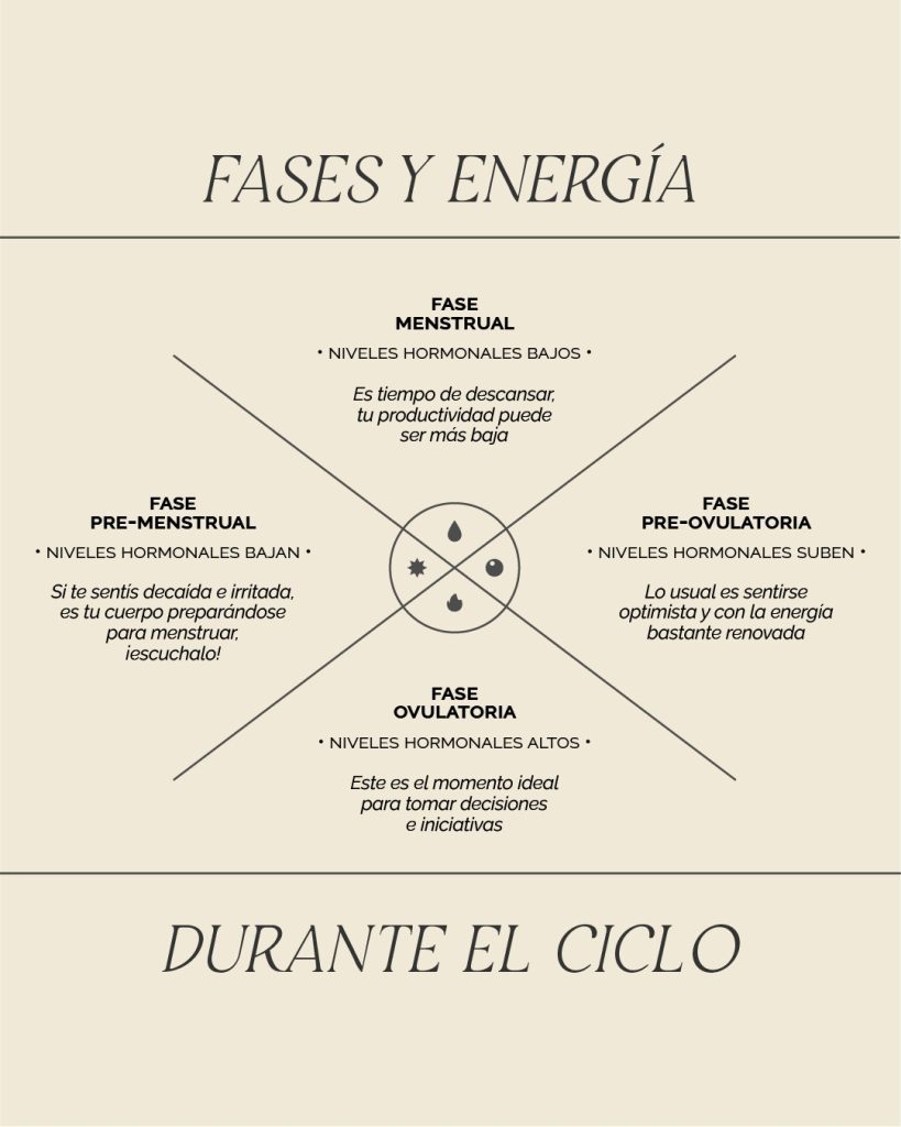 FASES Y ENERGÍA DURANTE EL CICLO MENSTRUAL