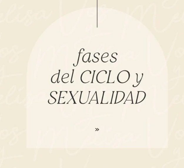 FASES DEL CICLO Y SEXUALIDAD
