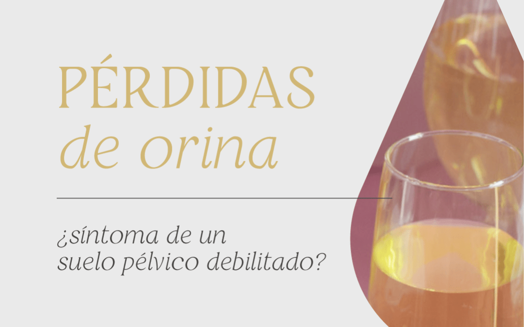 Pérdidas de orina: Son síntoma de un suelo pélvico debilitado ⁉️​