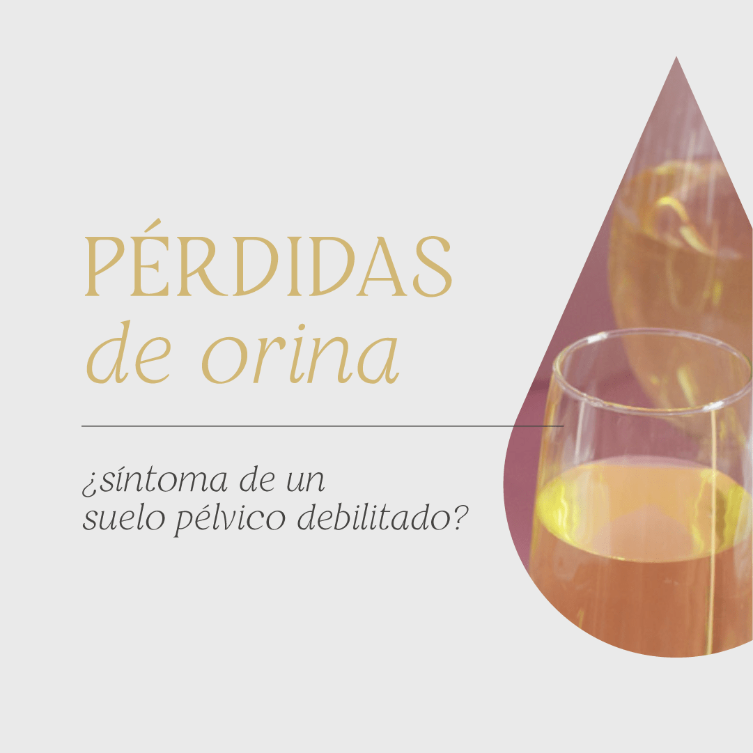 Pérdidas de orina: Son síntoma de un suelo pélvico debilitado ⁉️​
