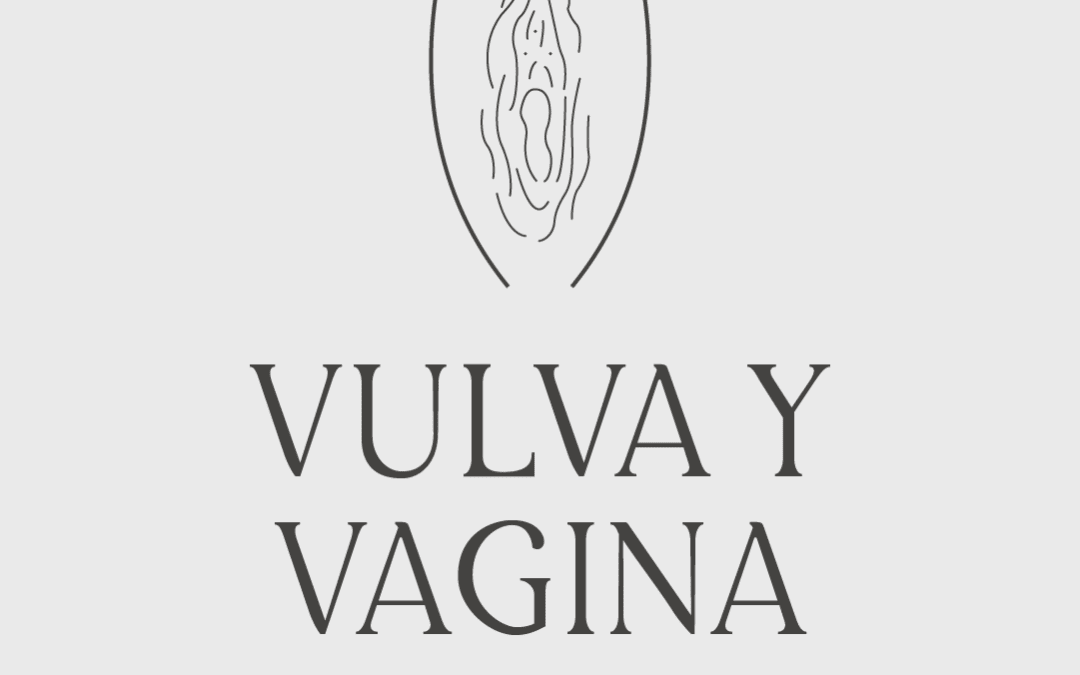 La vulva y la vagina