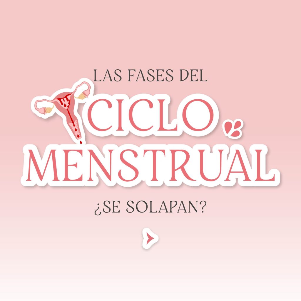 Las fases del ciclo menstrual, ¿se solapan?