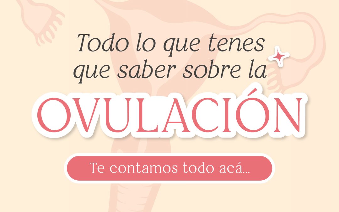 Ovulación: Todo lo que tenés que saber