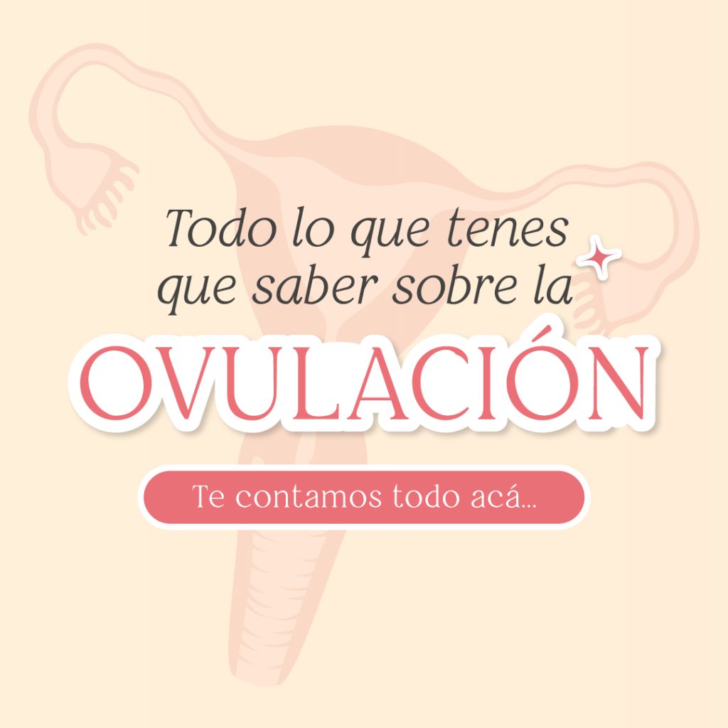 Ovulación: Todo lo que tenés que saber