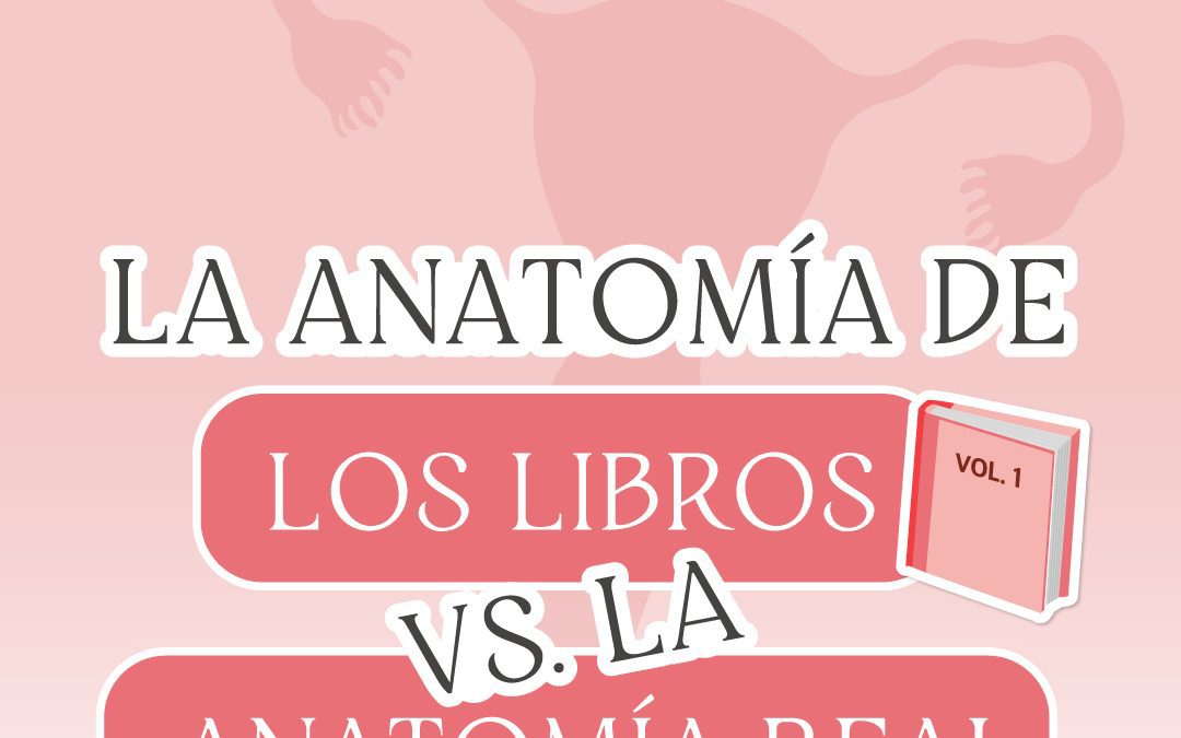 La anatomía del útero: Los libros vs. la vida real