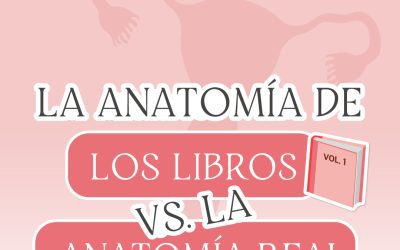 La anatomía del útero: Los libros vs. la vida real