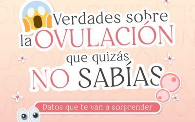 Verdades sobre la ovulación